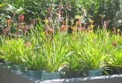 Gardenvaleplant-nursery-17.jpg; ?>