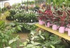 Gardenvaleplant-nursery-7.jpg; ?>